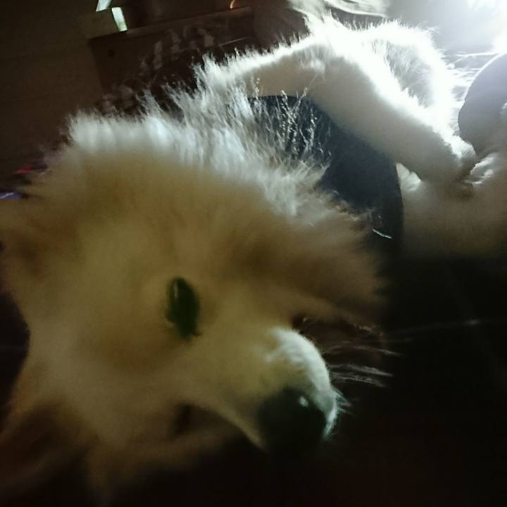 130e1537 3cb6 4b06 ad63 f24296c29866 1509654553359