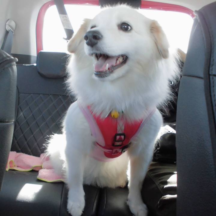 130e2680 610d 43da be0c 5f62a8d7760a 1517981558485