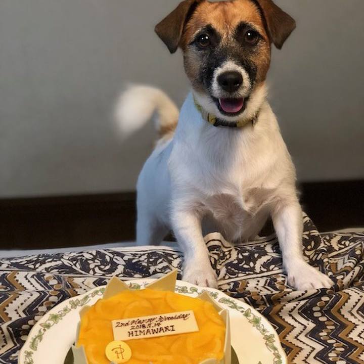 130e286e 3448 4e77 aece 282e319f2b58 1536927175474