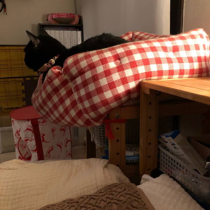 130e2926 f211 4be9 b28e abe299a09a89 1599998351795