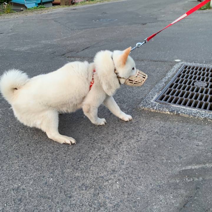 130e62d4 a56e 455a bc43 14c1d9f34910 1557917362914