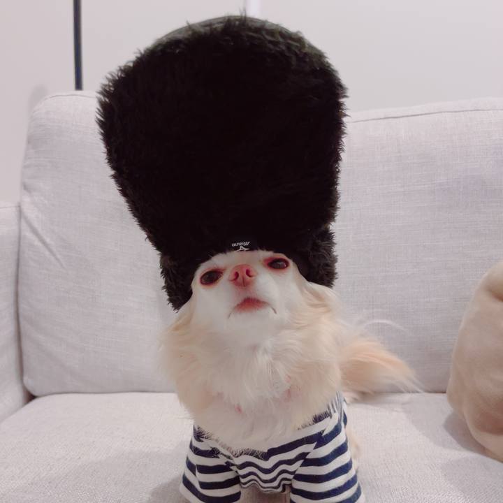 130e6306 75d8 4240 a5c5 7b0559ee327b 1705492593531