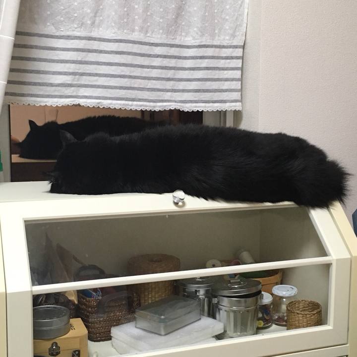 130e8d28 ed29 4a43 91ba 790e174c2c97 1532098512664