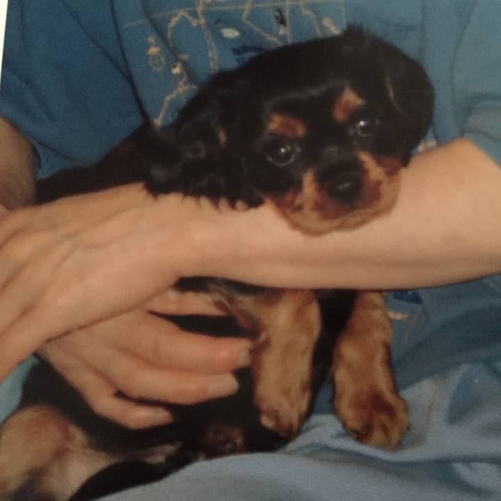 130e9b1e 1732 471e 80a0 eed38414d05d 1508033529479