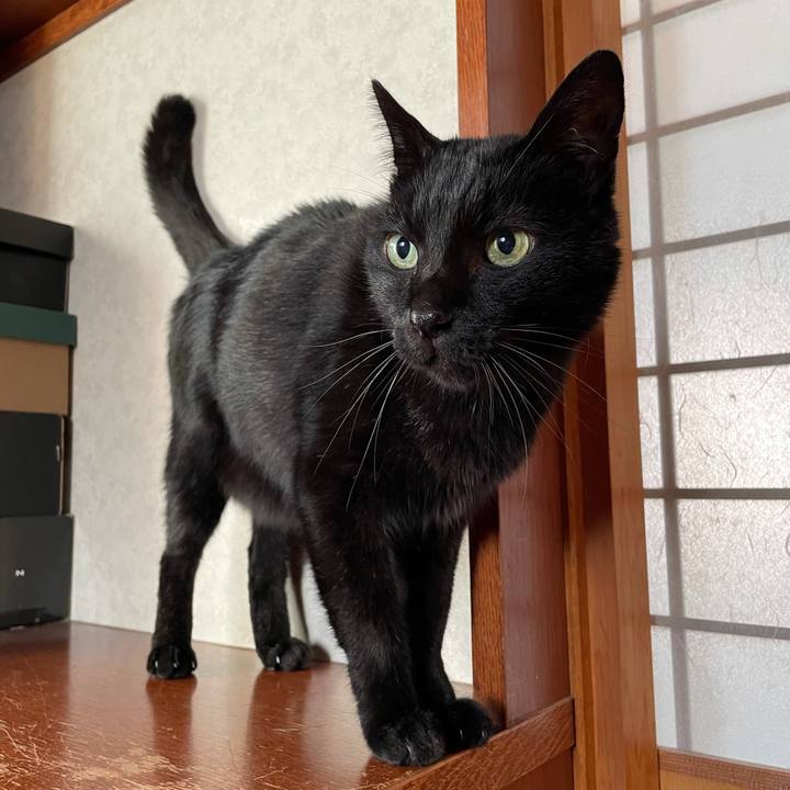 130e9bcd cd8b 43bf a09d 74f89dc2c766 1606871455202