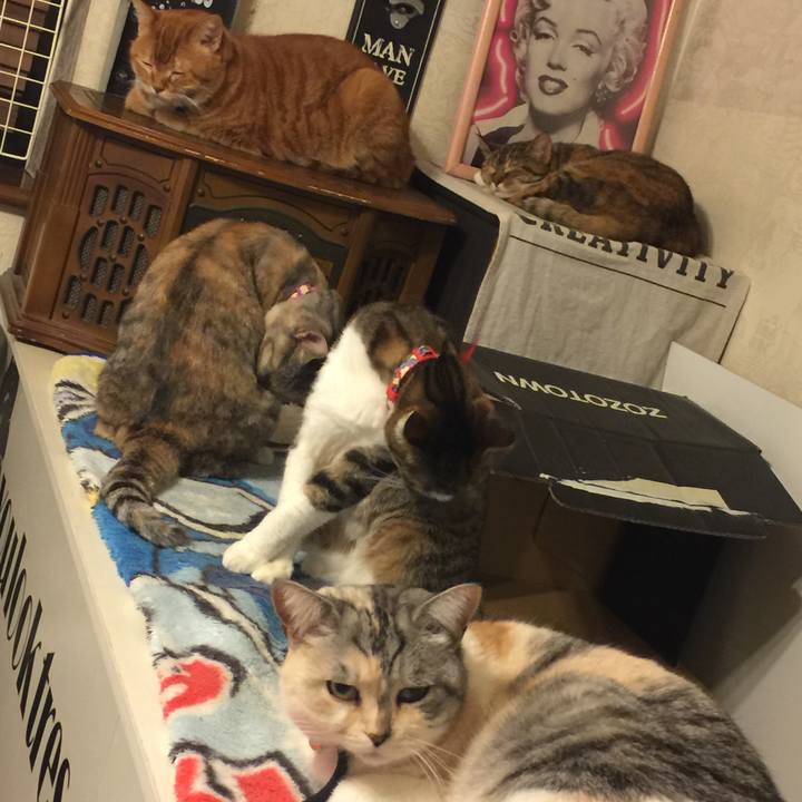 130ea8d6 4ce2 49b7 bf40 831aa7c41efb 1547135810103