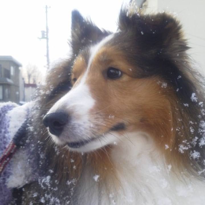 130eef4b ca0e 461e 8994 c286025f89ac 1572319964064