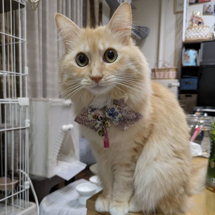 130f6457 fb62 4ab3 a3d2 ac0f5e240311 1760173591932