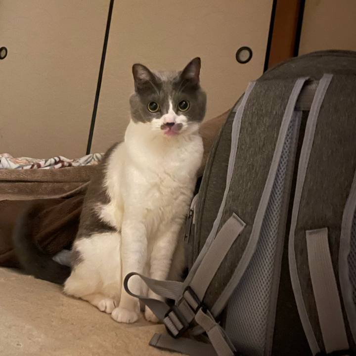 130f8078 9ace 4831 a7c8 ba41f8f31aa6 1704292489545