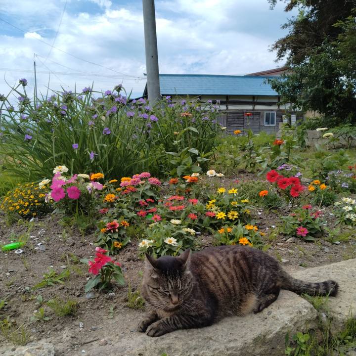 130fc64b 32a3 46a0 be20 94cce11cd89a 1687310845714