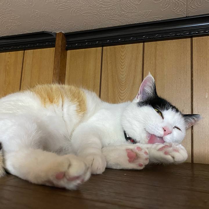 13100748 c94e 4e2b bbfe 34a8ea785ccd 1649950396664