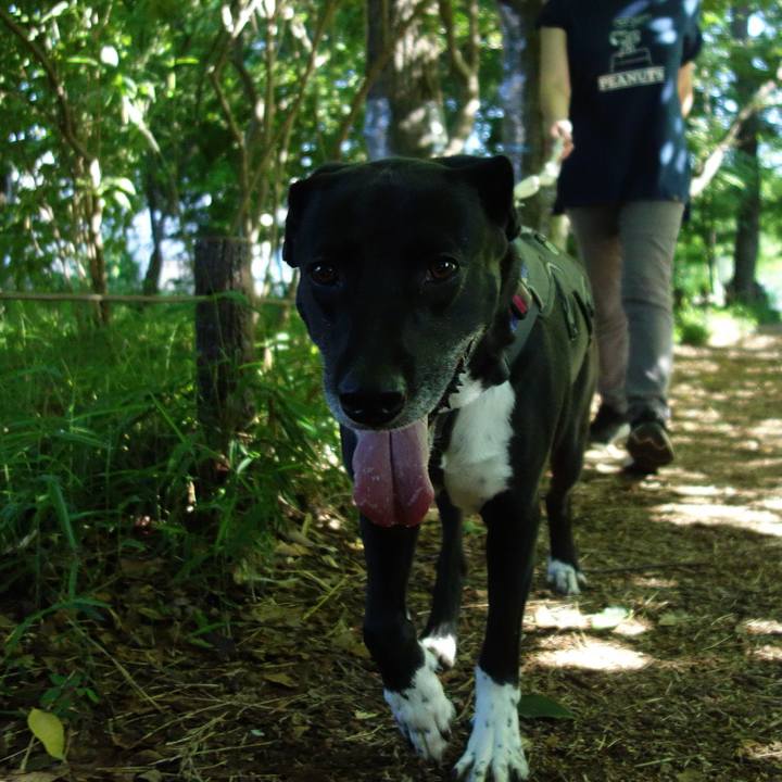 131018cd edca 43df a54b 12130c82f7b5 1653698738745