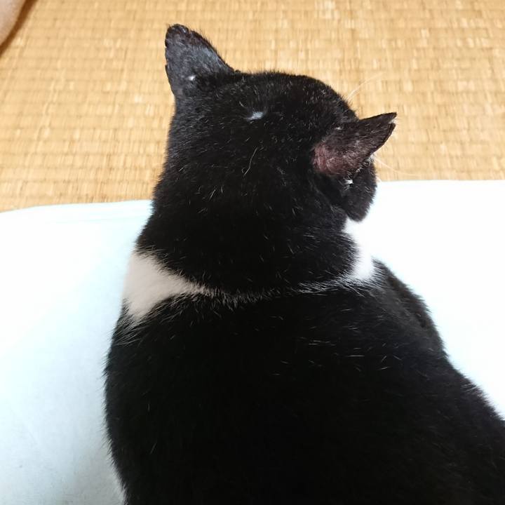 1310742a 33e3 4405 a458 fb5ed8fa9285 1595506794211