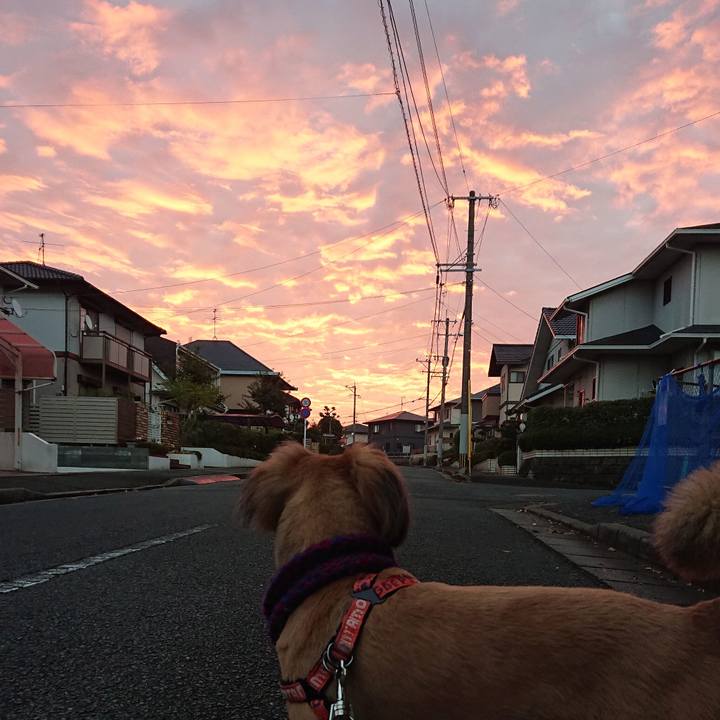 1310a0e4 ce29 441a aaed 0d63c4b20178 1545518584219