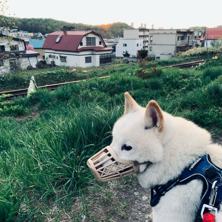 1310bcef db37 4826 b724 7e1d905c4412 1652299618998