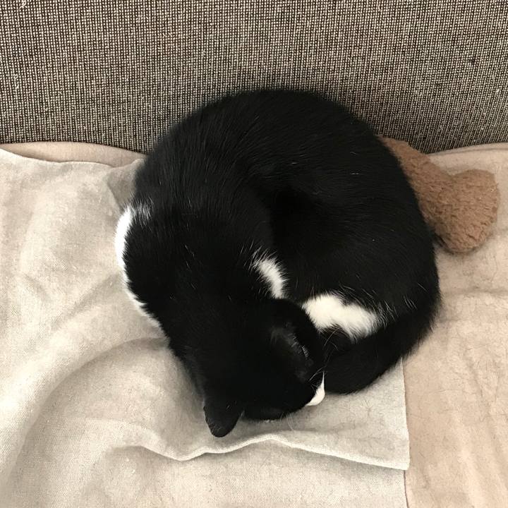 1310bd07 c9df 4cb3 81c7 edd5a12012b3 1521262600435