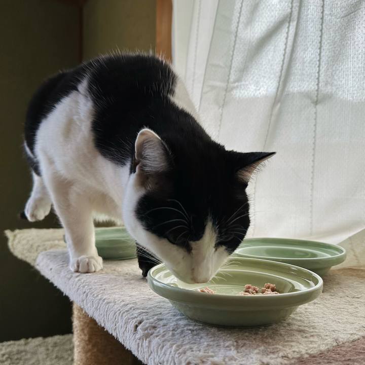 131100c9 0af1 4231 a44c f37de6595de4 1675304975707