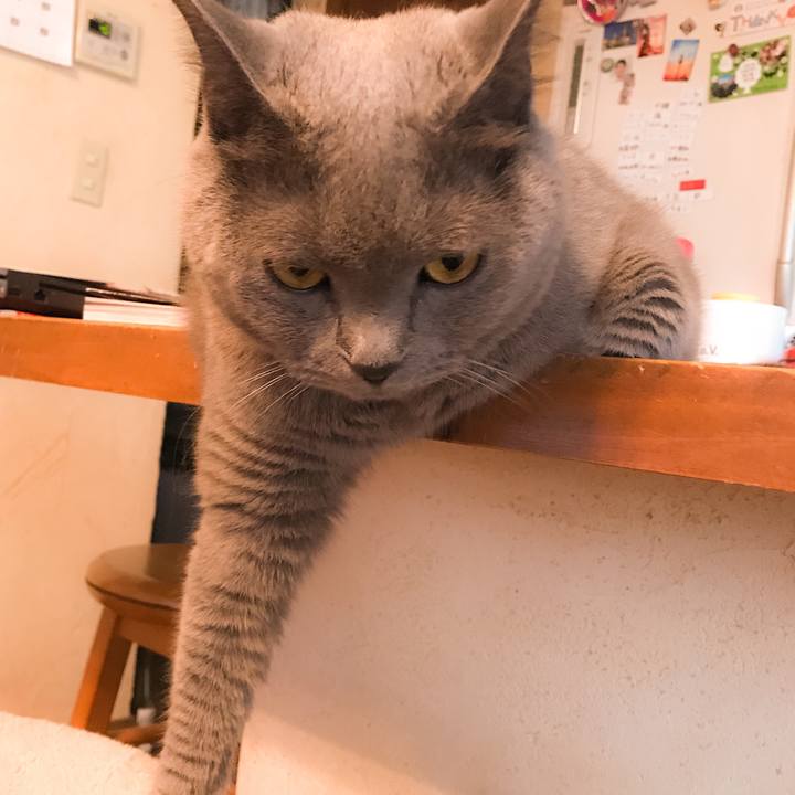 13110d7d 7e43 4ab3 b5d2 572bae2b7df3 1565529348132