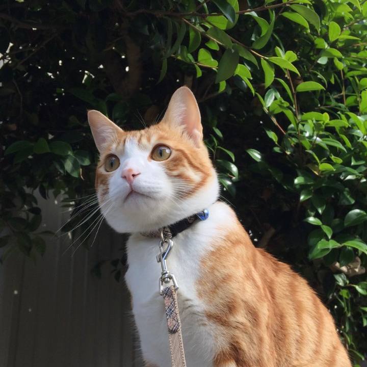 13112048 8fb7 4985 be23 70f2e4a21da4 1563576932516