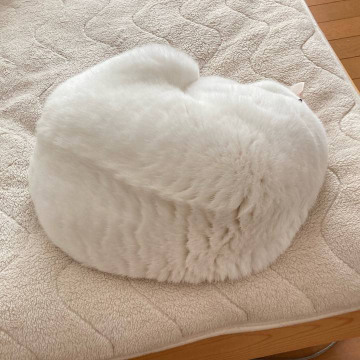 13112849 155e 481a 85de 50b88d1f717f 1640065533896