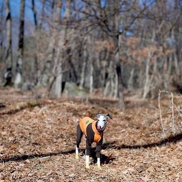 13113833 421d 4a67 8b17 01bf87e7d49d 1523884334217