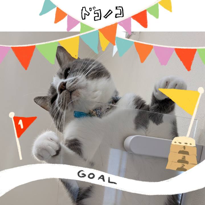 13115b4a 6a15 4eef 975b 18602db74fb9 1729061300642