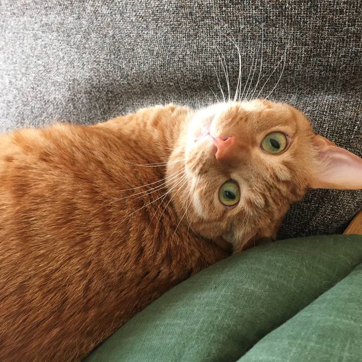 13117106 66ac 40c9 bc53 896adcaabbb7 1584050825499