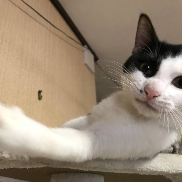 131186fe dd12 440b 9702 8d8a94ed14c3 1511487320447