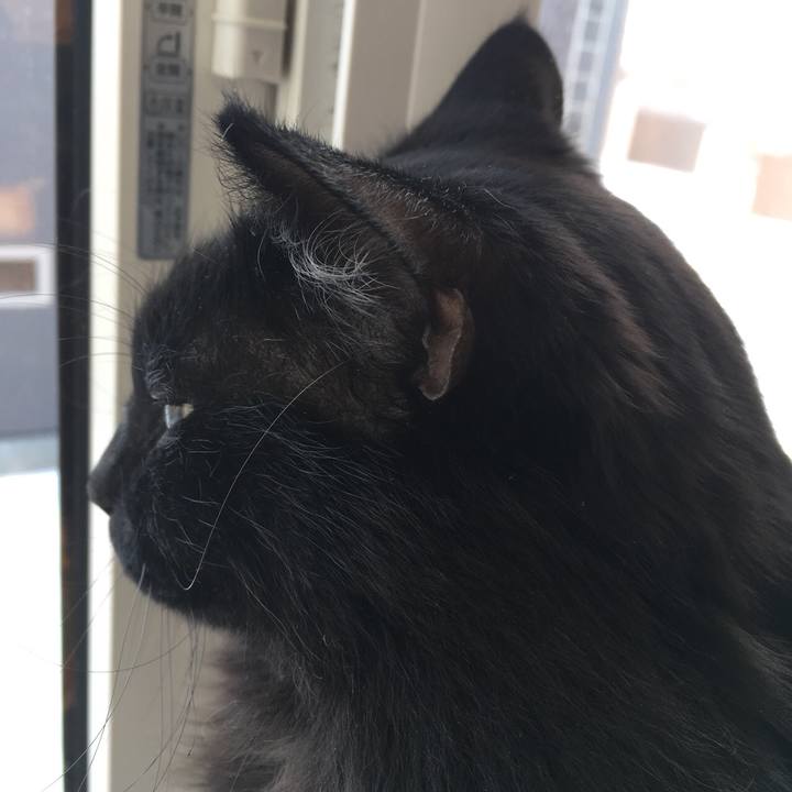 131194e7 d228 4a5f 9be1 ecbf6de2b00b 1514698831839