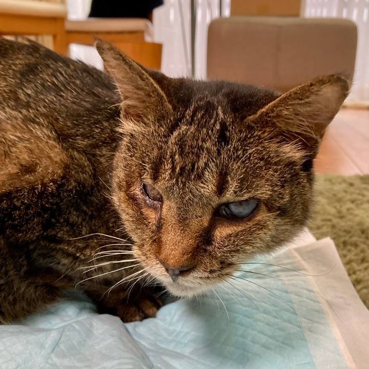 1311989d 1e7b 48c8 9ad1 d597700c9b4f 1686612175972