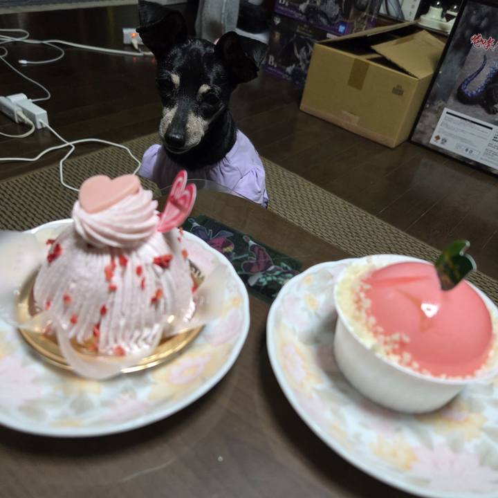 1311b50a 5b9b 46c1 b3ed 48ebedf6beff 1755776671024