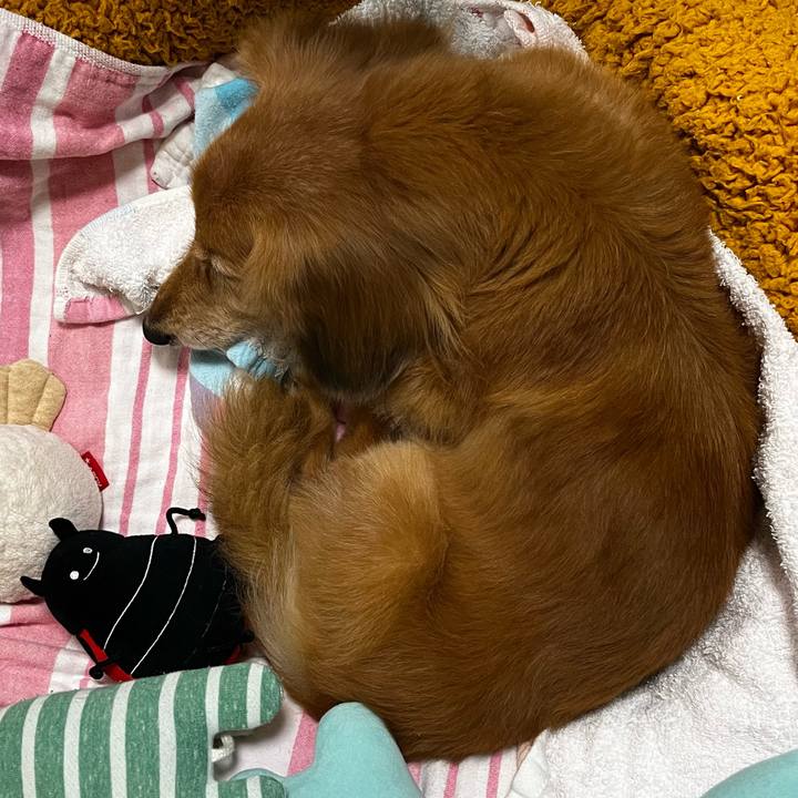 1311bf96 11e3 4cd3 9eca d21f529545b7 1666617693610