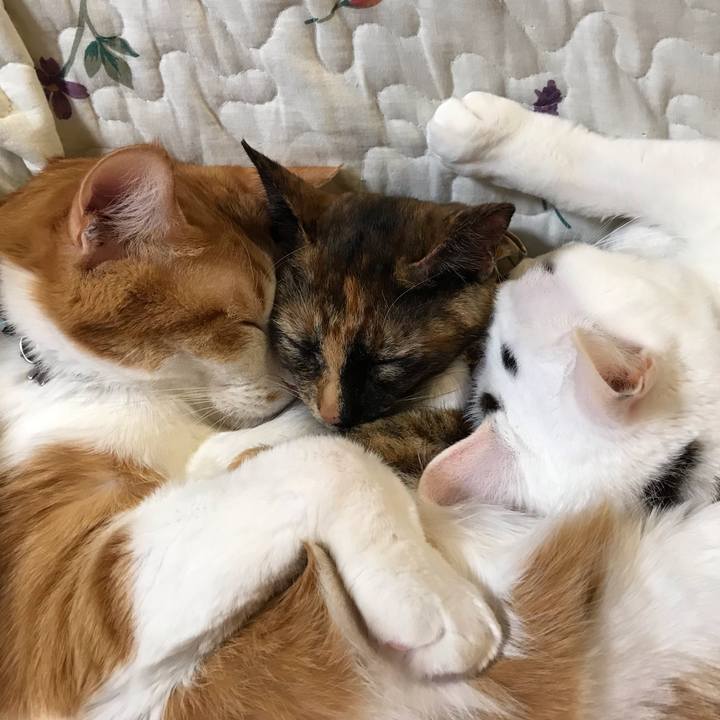 1311f2f7 f52e 4771 965c f9b425e6caf4 1608673247534