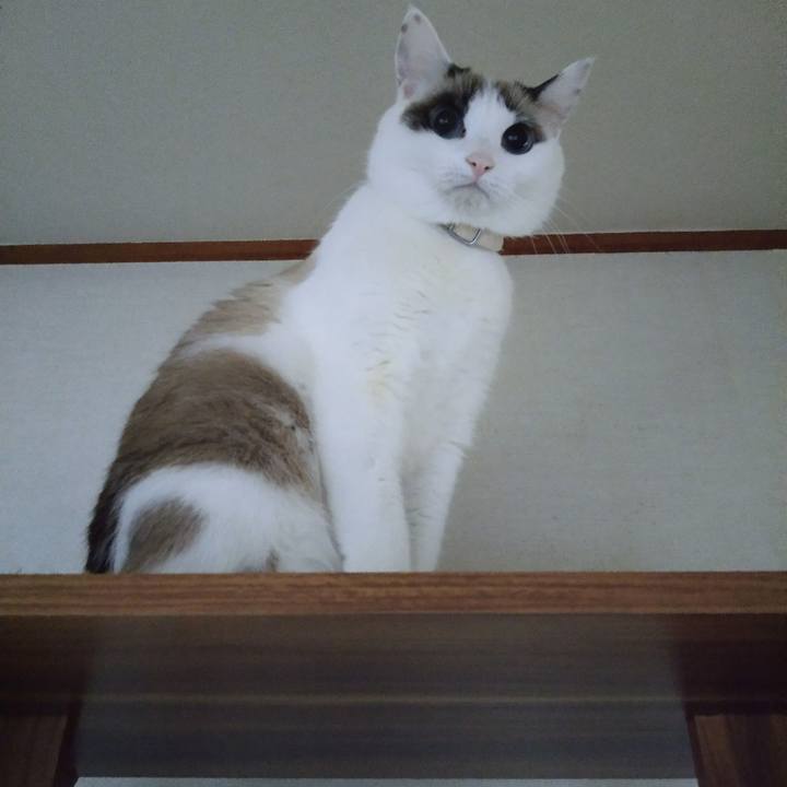 1311ffc4 3634 4280 bc73 7cd79ca684da 1607038641361