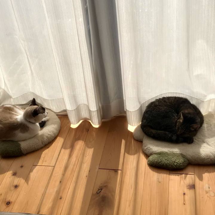 13120532 5914 4989 9cd6 1620fe44c848 1610779635520