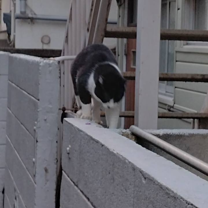 13125ac0 7c67 47cf 9b6f 8e9d2e027385 1700724469350