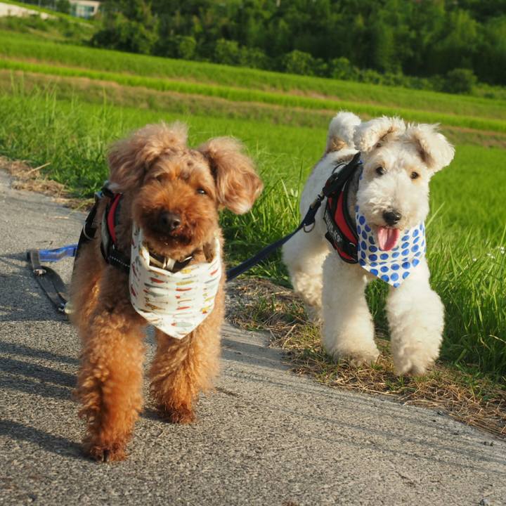 1312678c 12f4 431d 834e 933966f18487 1532176220257