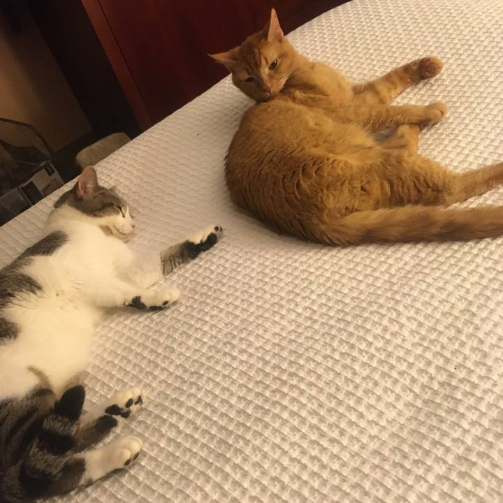 13126c5b f161 4d05 84b8 54960869c5fb 1633830340043