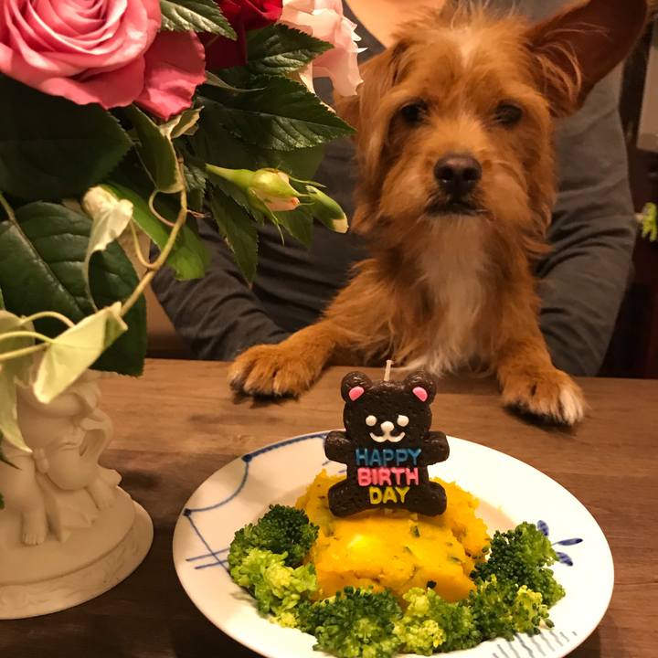 13128382 848f 44e5 88ca 312a9cbec746 1540963753520