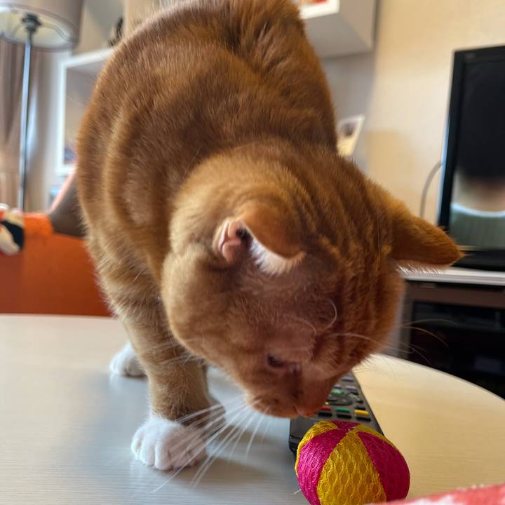 1312a11d 6d09 44e9 b566 4640a002388e 1613801252699