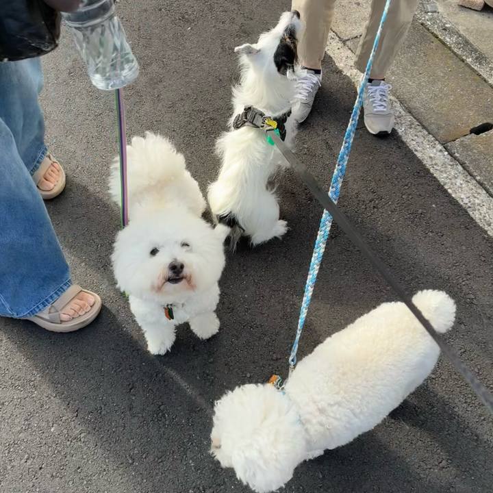 1312b782 67e3 4368 93da bd733af3a022 1759447211333