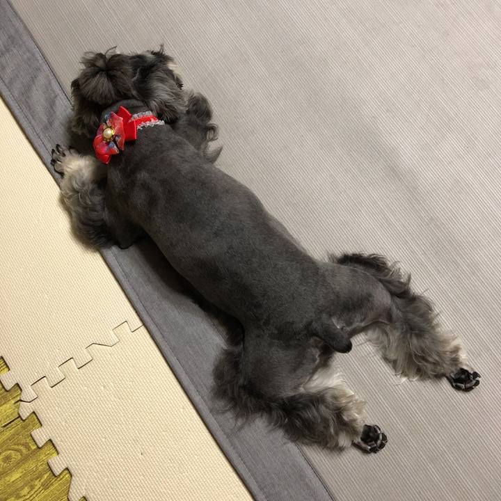 1312bdb1 efae 46ea b026 ee0e60c5de00 1566302827778