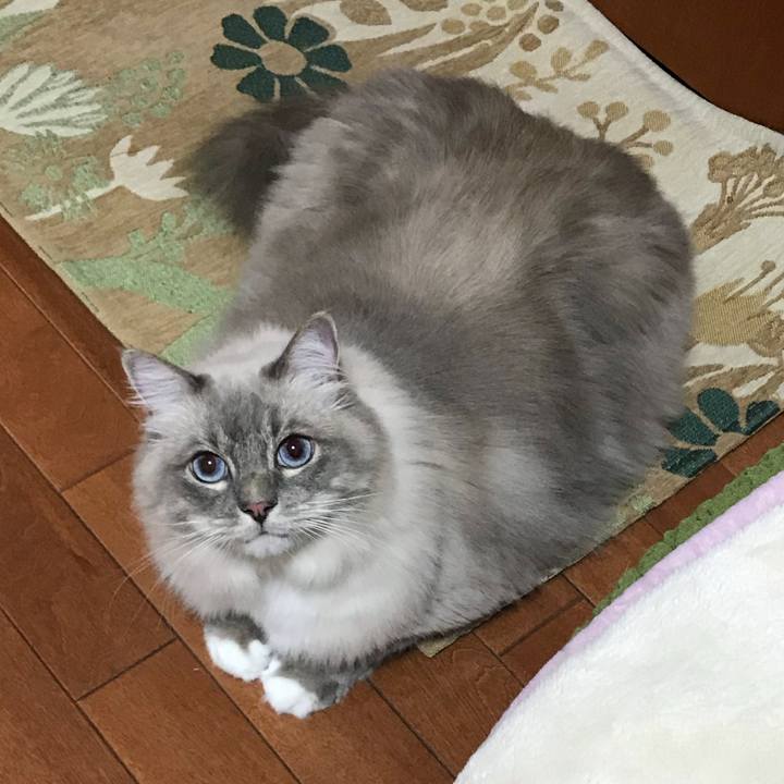 1312faac 7ad5 497d a068 39da7b35e39e 1509116154130