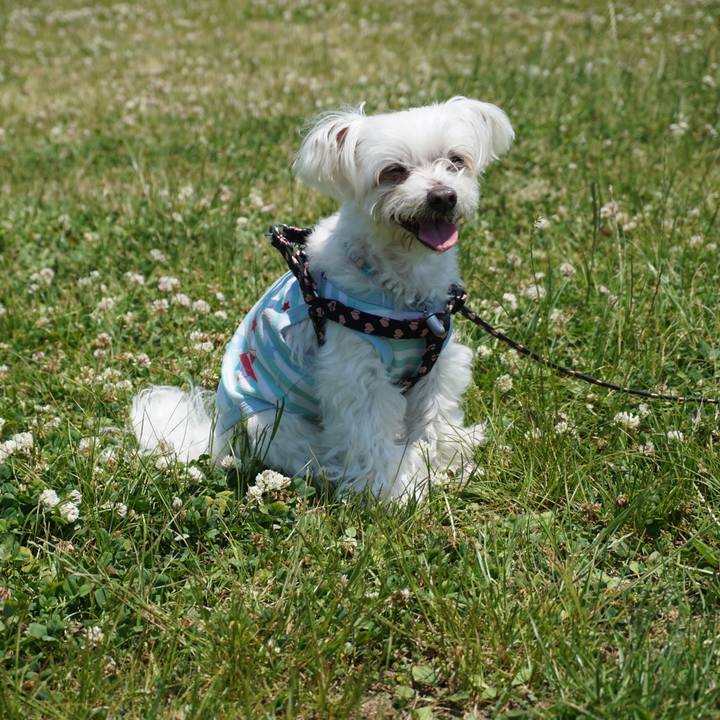 1313003a 859e 42c8 8625 dd6dbf9ed629 1553836808761