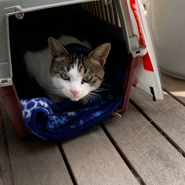 13131694 a641 4c7b 9456 cb1cea4102dc 1572406107680