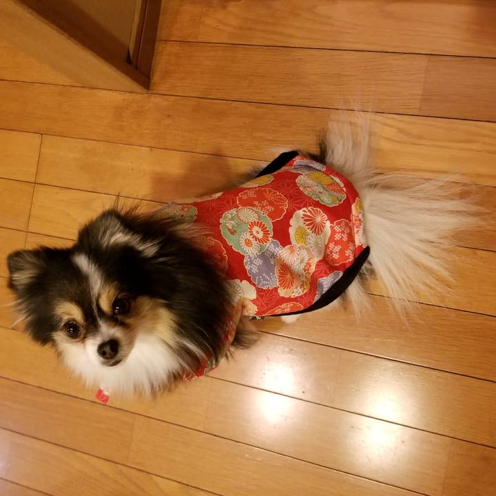 13131932 0bc7 4b9b 9e59 fd133f262996 1549897566471