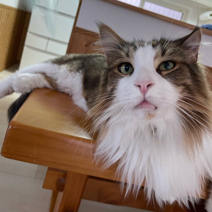 13131c60 b2b0 46ad 9403 301dac3129ed 1692044418595