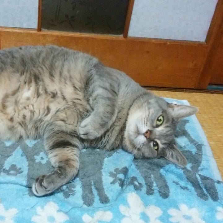 13131e8b 03a7 4b72 8225 2cdc92272f84 1525281189653