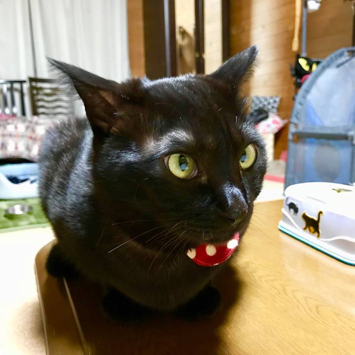 131398fd 6eb8 4821 b22e 9e6de3772284 1511094659403