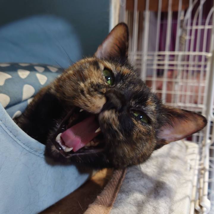 13139e7f 6623 4634 aa1d ad5870c37a84 1749536343969